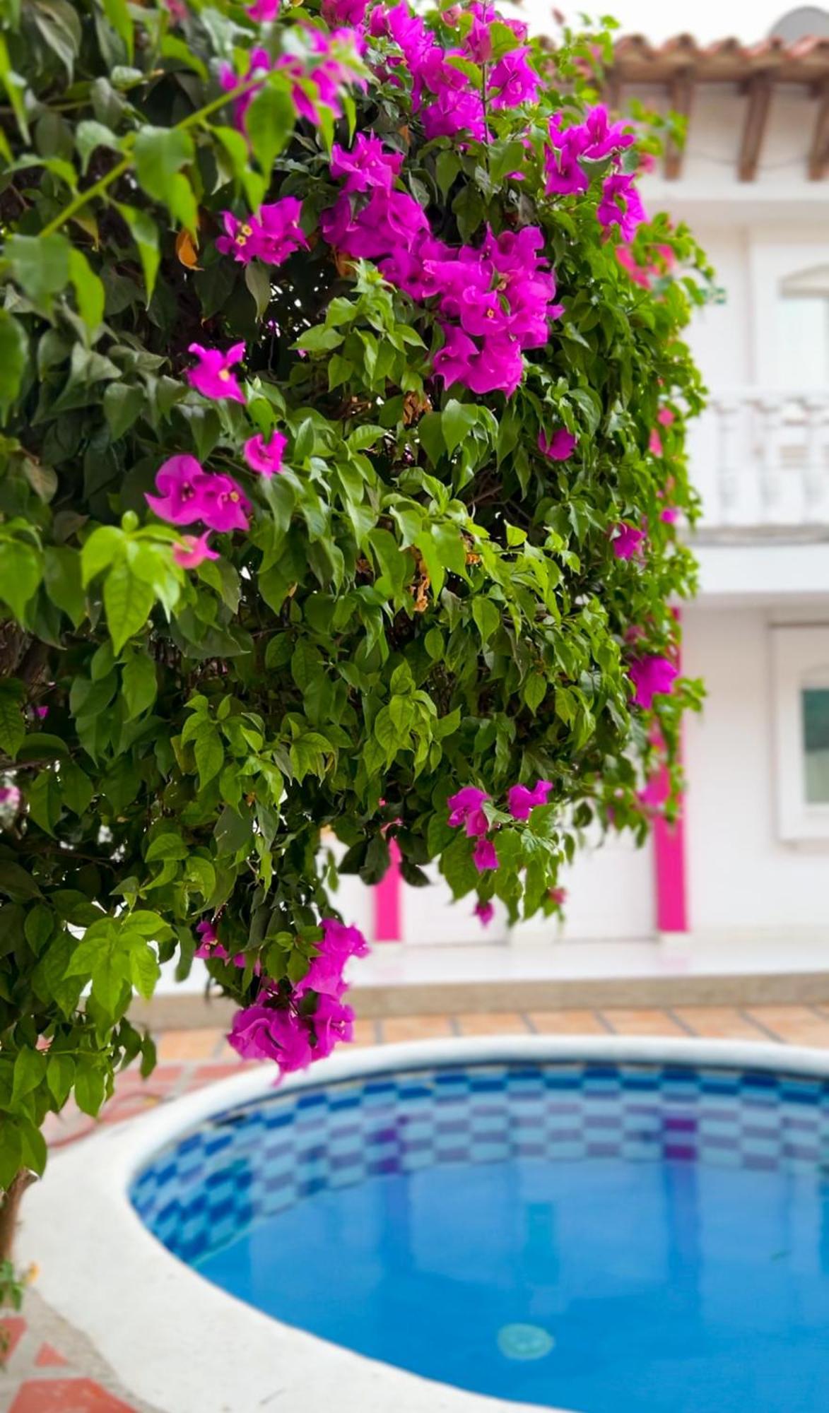 Hotel Casa Grande Riohacha Inn エクステリア 写真